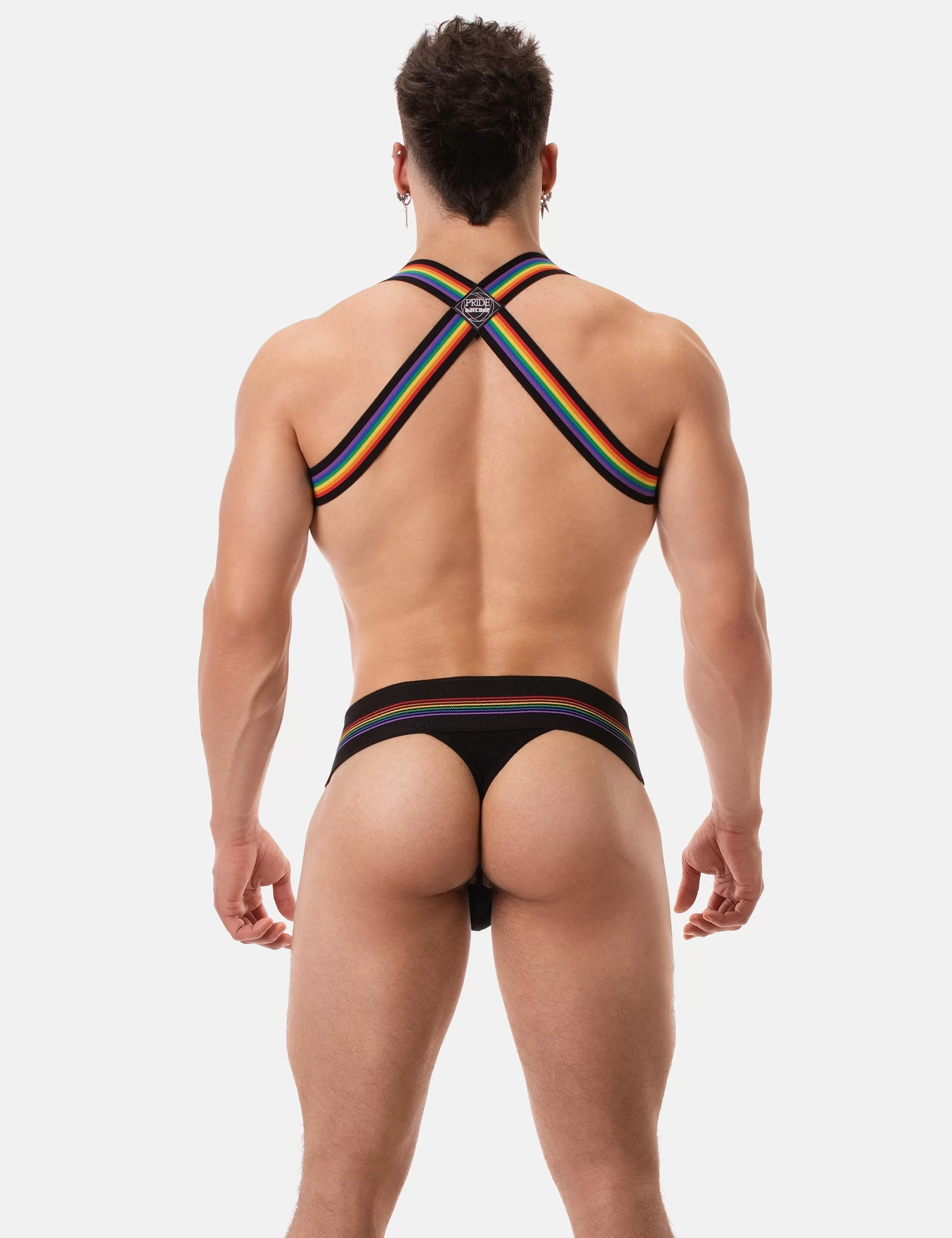 Harness Pride Eternity - Black