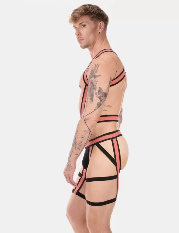 Harness Duo Javed - Apricot-Black