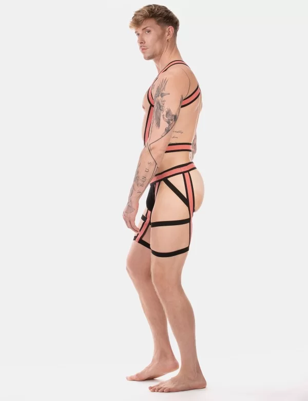 Harness Duo Javed - Apricot-Black