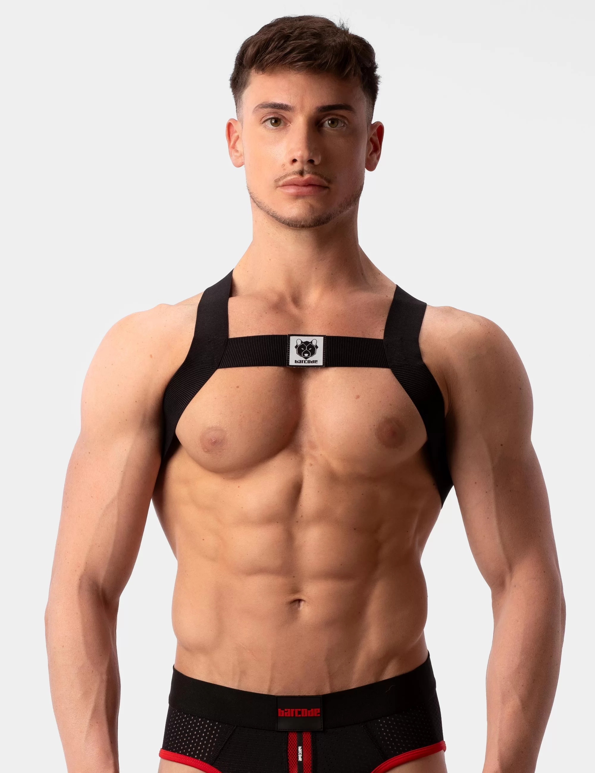 Harness Leonsh - Black