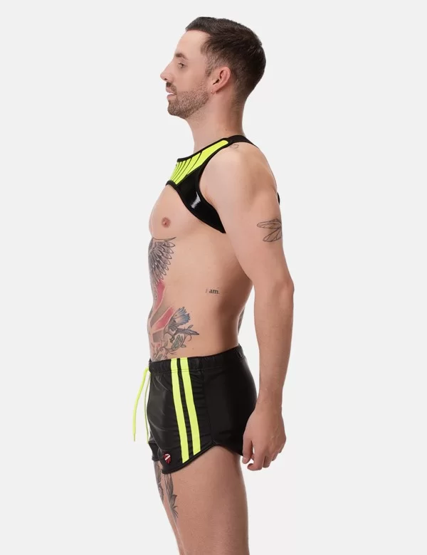 Harness EDE - Neongreen-Black