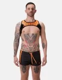 Neonorange Black
