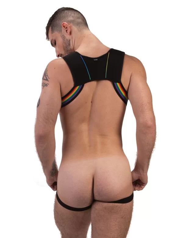Harness Pride Infinity - Black