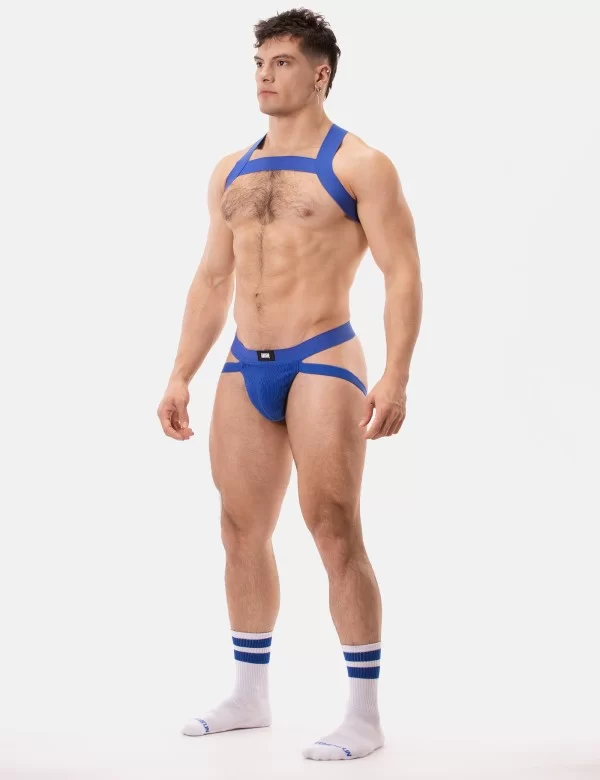 Jock Swim Anton - Royal