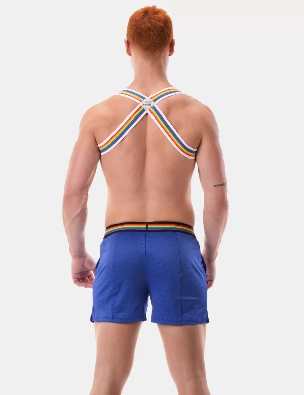 Barcode Pride Short - Royal