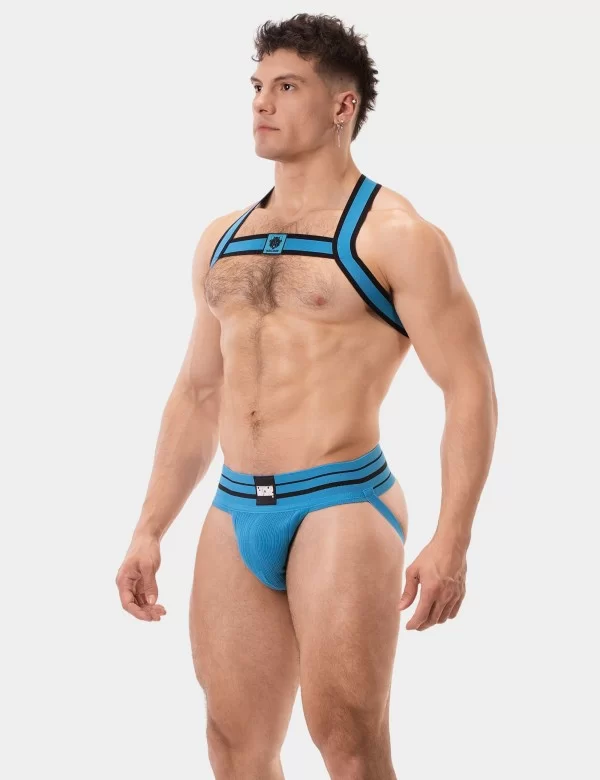 Harness Colin - Blue-Black