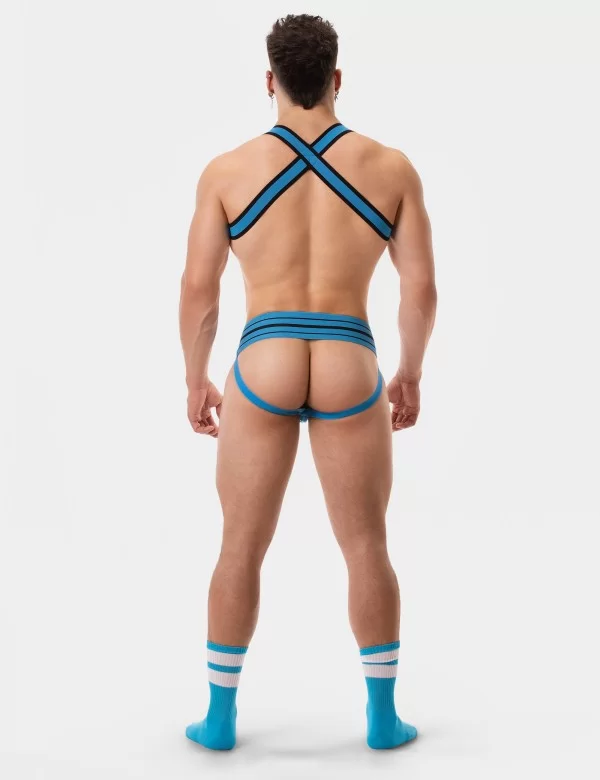 Harness Colin - Blue-Black