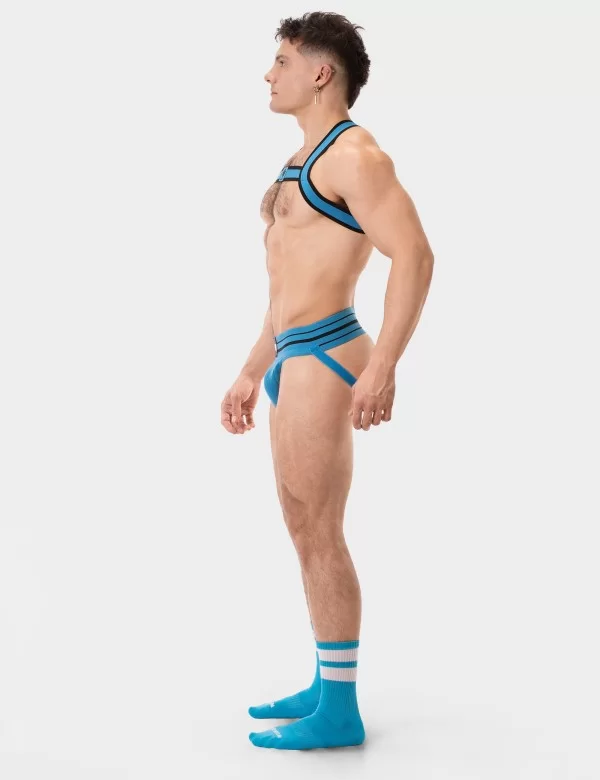 Harness Colin - Blue-Black
