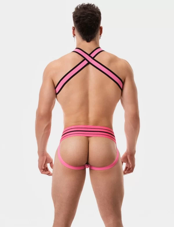 Harness Colin - Pink-Black