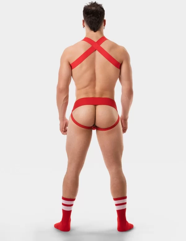 Harness Leonsh - Red