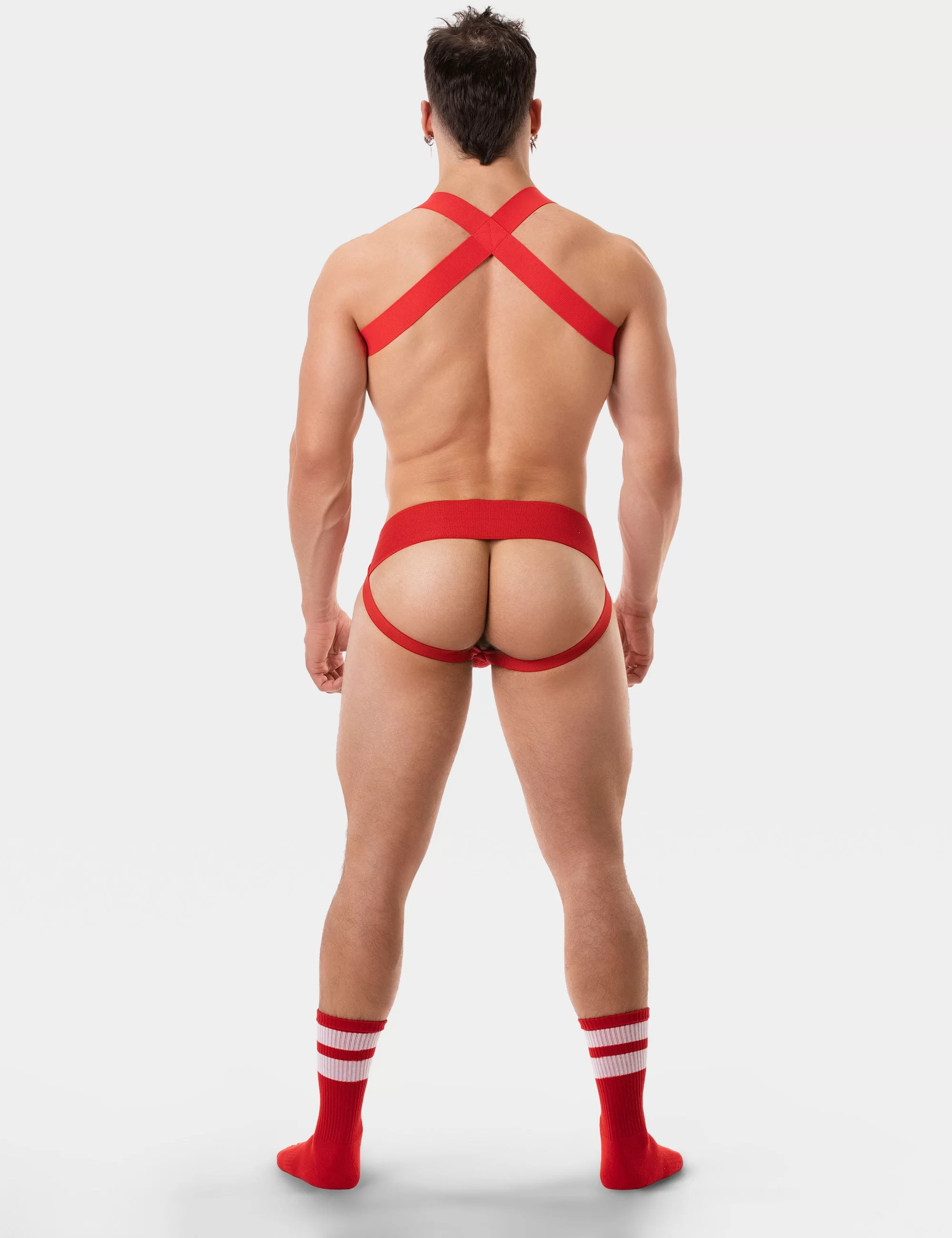 Harness Leonsh - Red