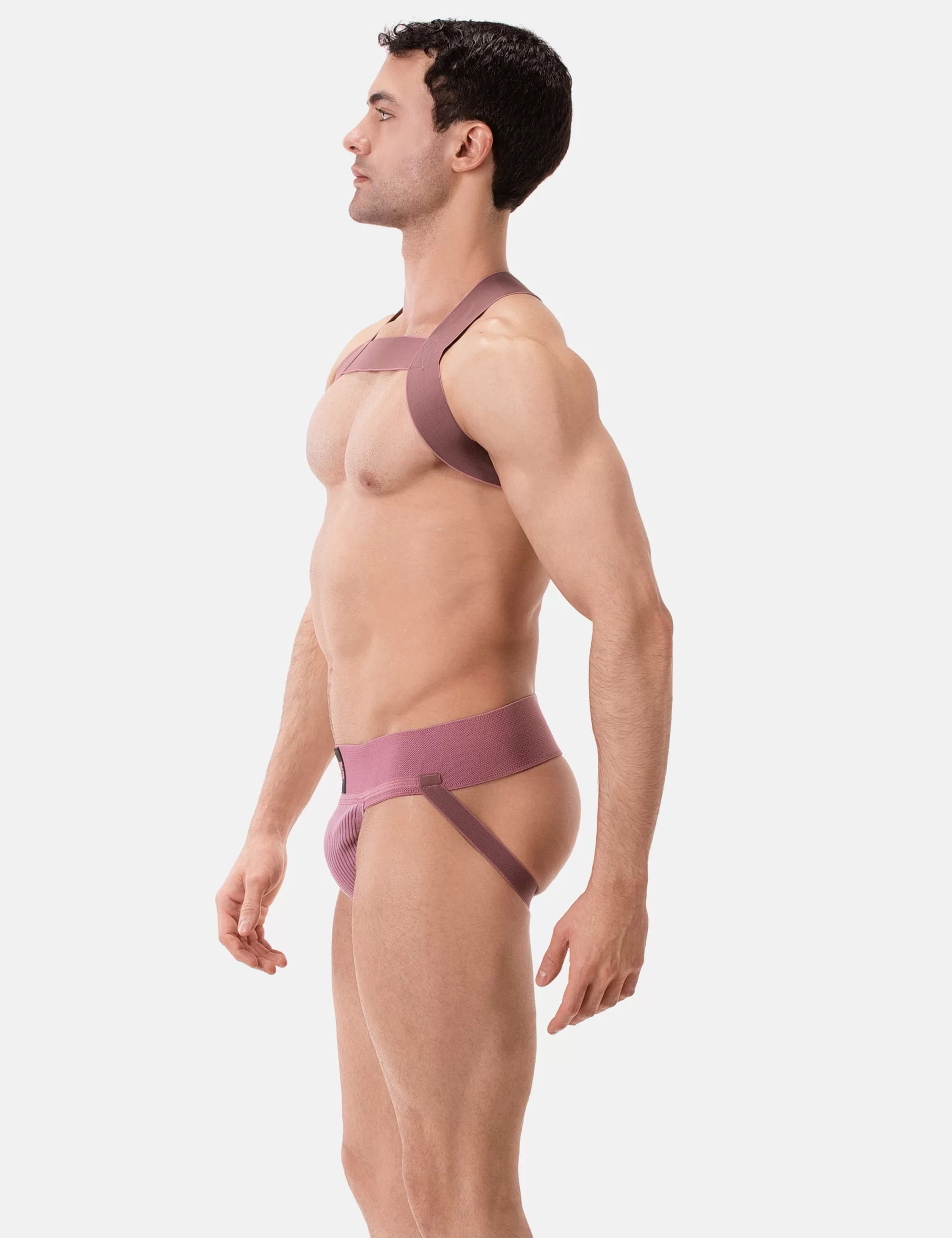 Harness Matt Pop - Brownishpurple